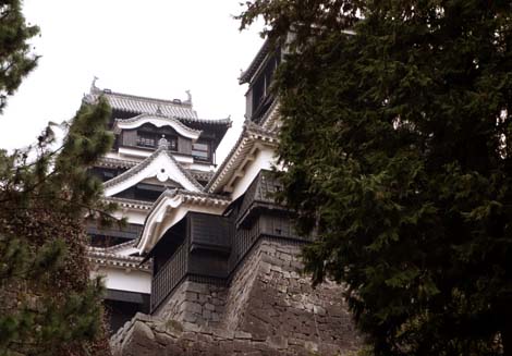 ���{�̏�̒��ň�Ԃ����������V��t���Ǝv���Ă��܂��u�F�{��v�i�O�ϕ����V��j