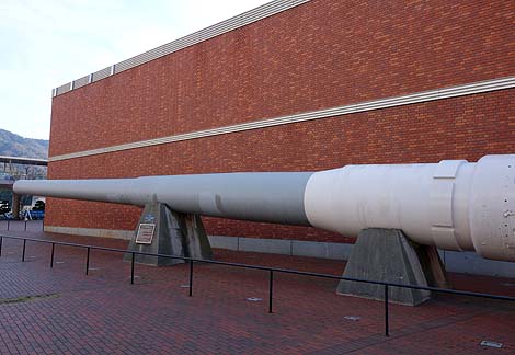 ������͑�a�̑傫���������邼�I���`�U��i�L�����j