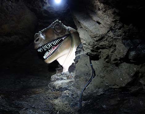 �a�̎R�̉��n�ɃW�F���V�b�N�p�[�N�����􏬌����A���������h���Ɋy���i�a�̎R���ɓs�S�j�O��