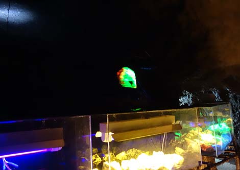 �����̏Z���ɂ͒n���ƋɊy�����݂����I�������A���������h���Ɋy���i�a�̎R���ɓs�S�j���