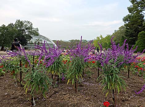 ���s�{���A�����i���s�n���S�k�R�w�E�k��H�w�j