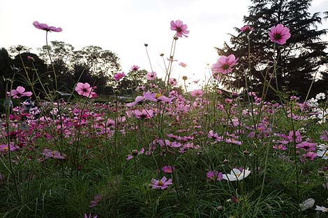 ���s�{���A�����i���s�n���S�k�R�w�E�k��H�w�j