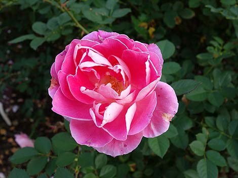 ���s�{���A�����i���s�n���S�k�R�w�E�k��H�w�j