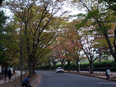 ���s�{���A�����i���s�n���S�k�R�w�E�k��H�w�j