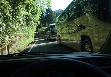 �R�񒆂ɑ��X�A�Ȃ�ό��o�X�̗�I�V���@���̔��p�ق��Ăǂ�Ȃ́HMIHO MUSEUM[�~�z�~���[�W�A��]�i����b��j