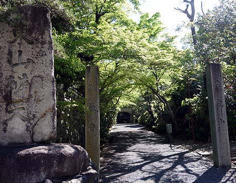 �r�r�b�ƋP���G�������h�O���[���̂��p�u���É��啧�E���ގ��v�i���m�j