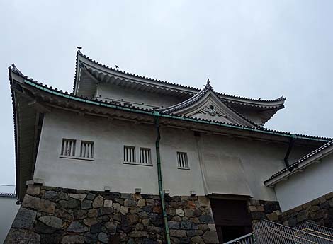 有名すぎるか・・・日本3名城の1つ「名古屋城」(愛知県)