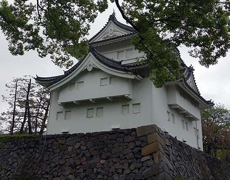 有名すぎるか・・・日本3名城の1つ「名古屋城」(愛知県)