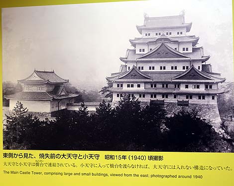 有名すぎるか・・・日本3名城の1つ「名古屋城」(愛知県)