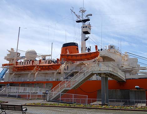 ���A���}�l�L�����D���̏󋵂��Č��I��Ɋϑ��D�u�ӂ��v�i���m���É��j