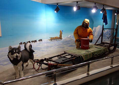 ���A���}�l�L�����D���̏󋵂��Č��I��Ɋϑ��D�u�ӂ��v�i���m���É��j