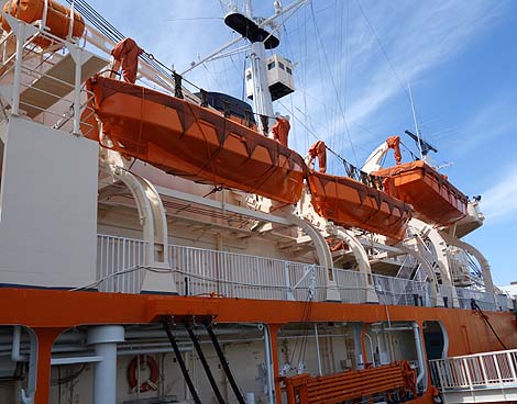 ���A���}�l�L�����D���̏󋵂��Č��I��Ɋϑ��D�u�ӂ��v�i���m���É��j