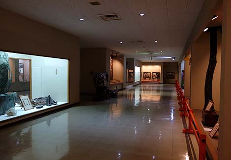 ����ω����ƒn���� ���c�R�v���ĕ��@�i�����v���ājB�����X�|�b�g