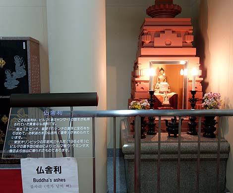 ����ω����ƒn���� ���c�R�v���ĕ��@�i�����v���ājB�����X�|�b�g