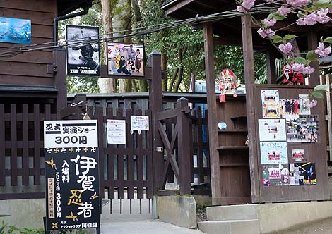 忍者屋敷のからくりを可愛いくノ一がご案内♪伊賀流忍者博物館(三重伊賀)
