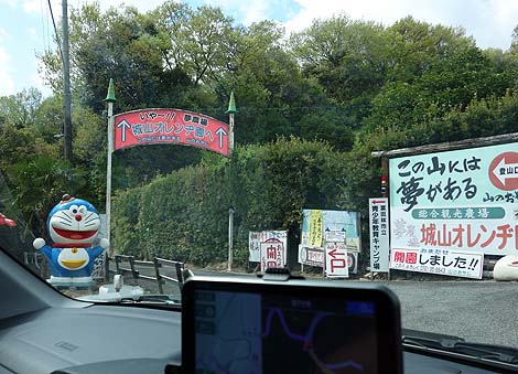 �T��i�C�g�X�N�[�v�ł��p���_�C�X�œo�ꂵ���R�̃I���W�̗V���n�u��R�I�����a���v�i���x�c�сj