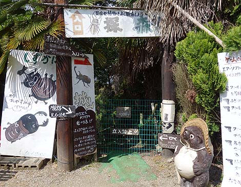 �T��i�C�g�X�N�[�v�ł��p���_�C�X�œo�ꂵ���R�̃I���W�̗V���n�u��R�I�����a���v�i���x�c�сj���