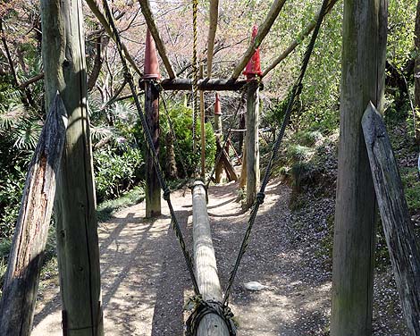 �T��i�C�g�X�N�[�v�ł��p���_�C�X�œo�ꂵ���R�̃I���W�̗V���n�u��R�I�����a���v�i���x�c�сj���