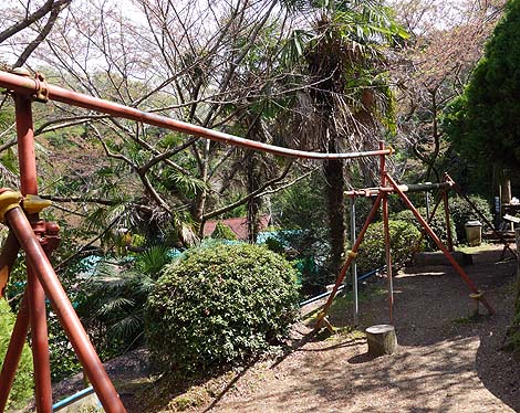 �T��i�C�g�X�N�[�v�ł��p���_�C�X�œo�ꂵ���R�̃I���W�̗V���n�u��R�I�����a���v�i���x�c�сj���