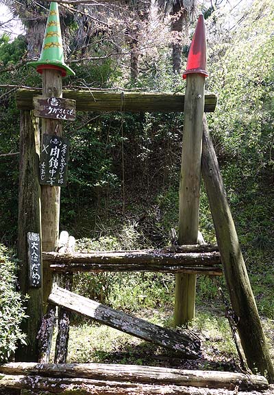 �T��i�C�g�X�N�[�v�ł��p���_�C�X�œo�ꂵ���R�̃I���W�̗V���n�u��R�I�����a���v�i���x�c�сj���