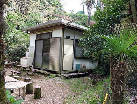 �T��i�C�g�X�N�[�v�ł��p���_�C�X�œo�ꂵ���R�̃I���W�̗V���n�u��R�I�����a���v�i���x�c�сj���