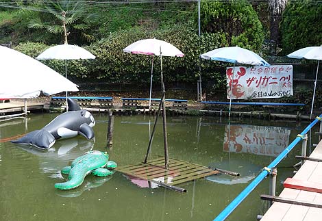 �T��i�C�g�X�N�[�v�ł��p���_�C�X�œo�ꂵ���R�̃I���W�̗V���n�u��R�I�����a���v�i���x�c�сj���