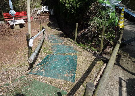 �T��i�C�g�X�N�[�v�ł��p���_�C�X�œo�ꂵ���R�̃I���W�̗V���n�u��R�I�����a���v�i���x�c�сj���