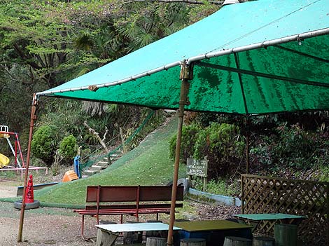 �T��i�C�g�X�N�[�v�ł��p���_�C�X�œo�ꂵ���R�̃I���W�̗V���n�u��R�I�����a���v�i���x�c�сj���