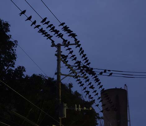 ���a30�N�㌚�z�̒c�n�������Ȃ������I�����c�n�i�����s������j���g�����z