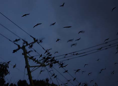 ���a30�N�㌚�z�̒c�n�������Ȃ������I�����c�n�i�����s������j���g�����z