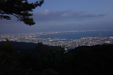 �_�˘Z�b�R�̖�i�u�V����v�i���ɘZ�b�R�P�[�u���R��w�W�]��j