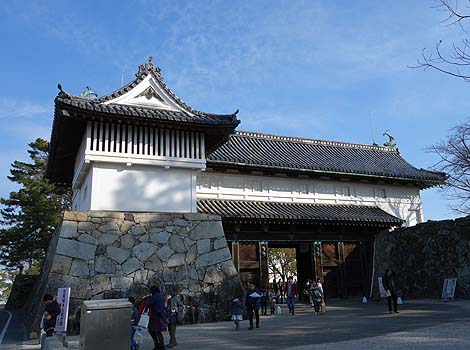 �V��t�ǂ��`�H�ƒT���Ă��܂����B�B�B�����{�ۗ��j�فi����s�j