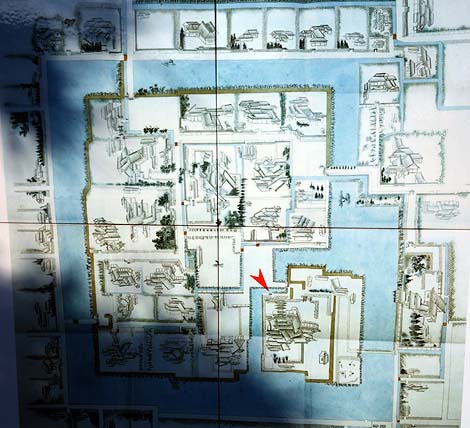 �V��t�ǂ��`�H�ƒT���Ă��܂����B�B�B�����{�ۗ��j�فi����s�j