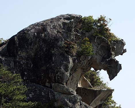 �C�Ɍ������ă��C�I�����i���Ă���悤�Ȋ��u���q�܁v�i�O�d�F��j