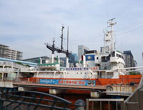 ���A���}�l�L���������̗l�q���Č��I�D�̉Ȋw�� ��Ɋϑ��D�u�@�J�v�i���������j