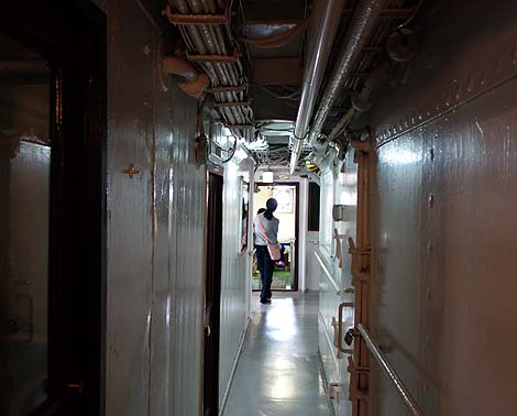 ���A���}�l�L���������̗l�q���Č��I�D�̉Ȋw�� ��Ɋϑ��D�u�@�J�v�i���������j