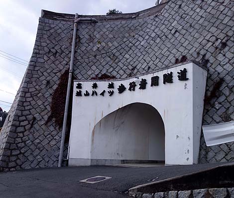 城に住める!御城山ハイツ「高井城」(愛媛今治)怪しいニセ城シリーズ