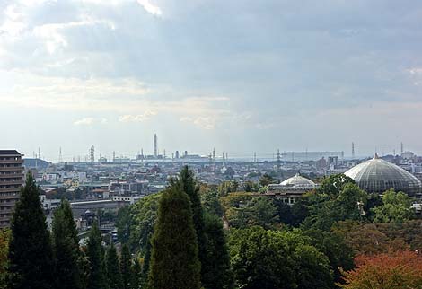 �蕿�R���������i���ɕP�H�j��]�W�]��ƃX�����[��/B�����X�|�b�g