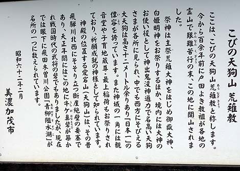 ����12m���{��̓V�瑜������@���{�݁u�È�[����]�̓V��R�v�i�򕌔��Z���΁j