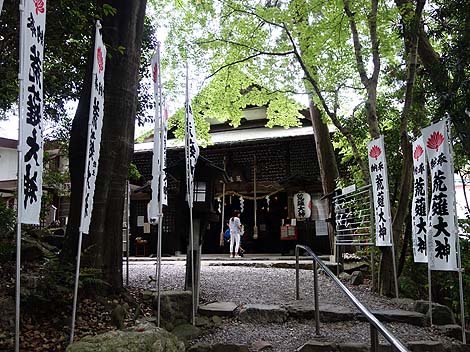 ����12m���{��̓V�瑜������@���{�݁u�È�[����]�̓V��R�v�i�򕌔��Z���΁j