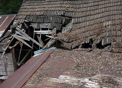 ����12m���{��̓V�瑜������@���{�݁u�È�[����]�̓V��R�v�i�򕌔��Z���΁j