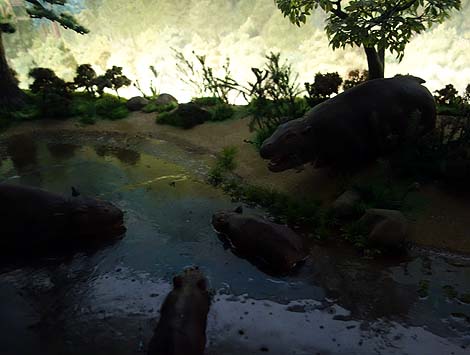 �펞�͒n�������������̃t�@���^�W�[�I�n���̗��j�������Ă邾���ŕ�����u�n����L�v�i�򕌐��Q�j