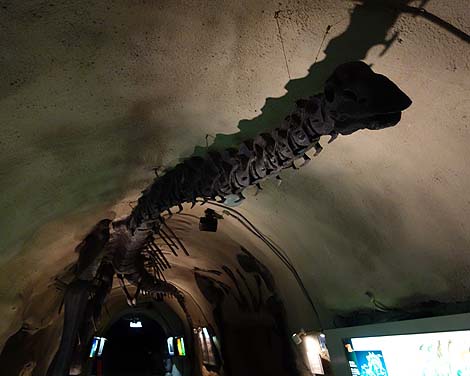 �펞�͒n�������������̃t�@���^�W�[�I�n���̗��j�������Ă邾���ŕ�����u�n����L�v�i�򕌐��Q�j