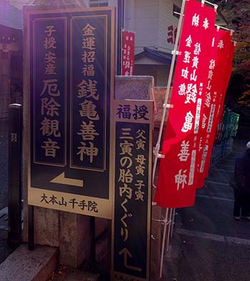 �Ղ̑����炯�̎� ���쑷�q���i�ޗǐ���M�M�R�jB�����X�|�b�g