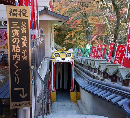 �Ղ̑����炯�̎� ���쑷�q���i�ޗǐ���M�M�R�jB�����X�|�b�g