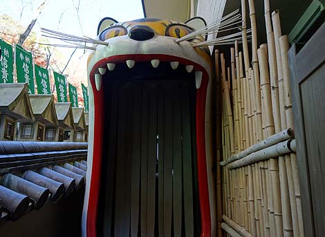 �Ղ̑����炯�̎� ���쑷�q���i�ޗǐ���M�M�R�jB�����X�|�b�g