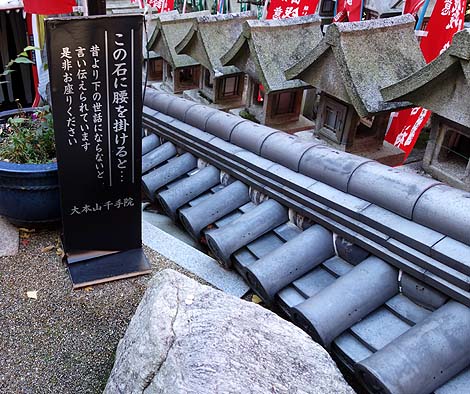 �Ղ̑����炯�̎� ���쑷�q���i�ޗǐ���M�M�R�jB�����X�|�b�g