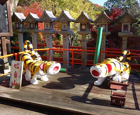 �Ղ̑����炯�̎� ���쑷�q���i�ޗǐ���M�M�R�jB�����X�|�b�g