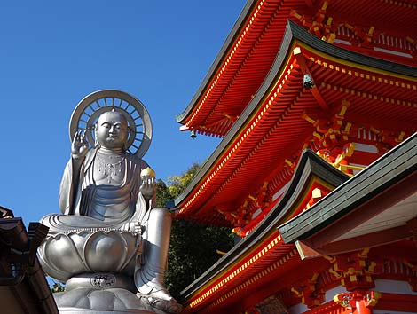 �Ղ̑����炯�̎� ���쑷�q���i�ޗǐ���M�M�R�jB�����X�|�b�g