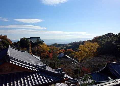 �Ղ̑����炯�̎� ���쑷�q���i�ޗǐ���M�M�R�jB�����X�|�b�g